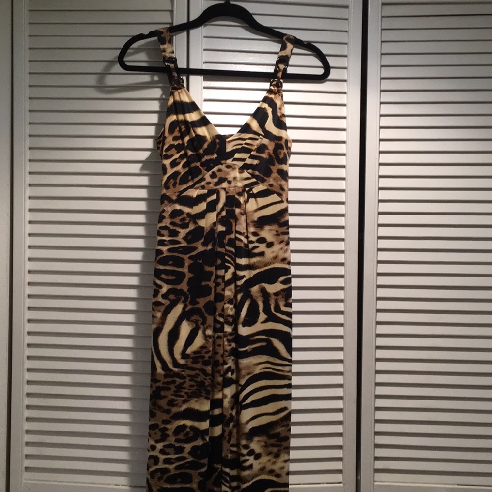 Alyn Paige Leopard Maxi Dress